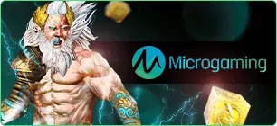 MICROGAMING